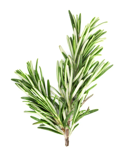 Fresh rosemary isolated on white background — Stock Photo, Image