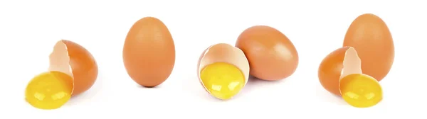 Telur ayam diisolasi pada latar belakang putih — Stok Foto