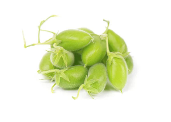 Garbanzos verdes en la vaina aislados sobre fondo blanco — Foto de Stock