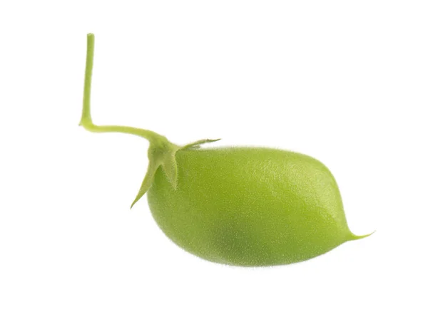 Garbanzos verdes en la vaina aislados sobre fondo blanco —  Fotos de Stock