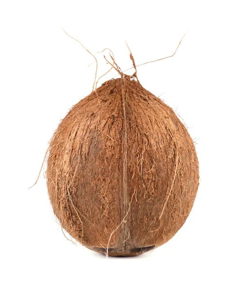 Tropisch fruit kokosnoot. Verse kokosnoot geïsoleerd op witte achtergrond — Stockfoto