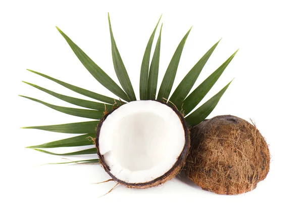 Noce di cocco con metà e foglie su sfondo bianco — Foto Stock