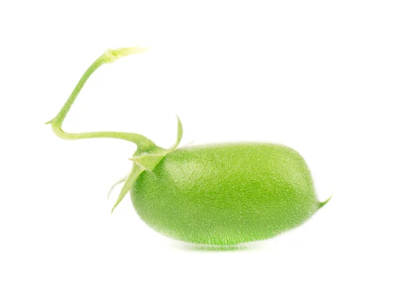Πράσινο φασολάδα στο λοβό απομονώνονται σε λευκό φόντο. Μακροεντολή — Φωτογραφία Αρχείου
