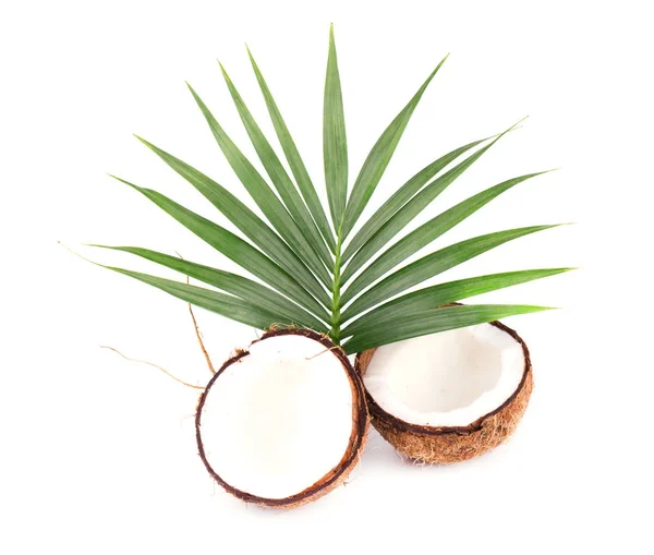 Noce di cocco con metà e foglie su sfondo bianco. Primo piano — Foto Stock