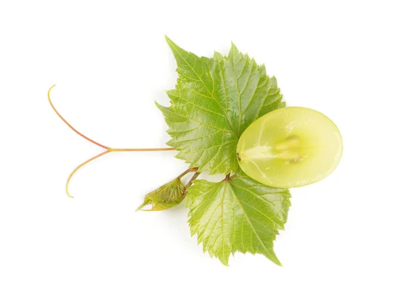 Anggur hijau dengan daun terisolasi pada latar belakang putih — Stok Foto