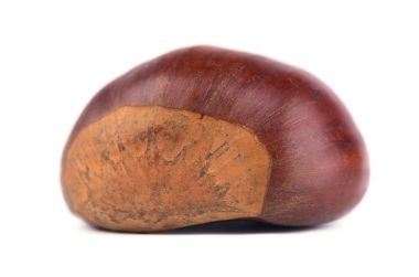 Taze kestane beyaz arka plan üzerinde izole. İzole Hippocastanum. Kestane kırpma yoluyla. Makro