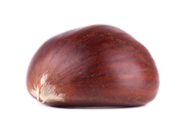 Taze kestane beyaz arka plan üzerinde izole. İzole Hippocastanum. Kestane kırpma yoluyla. Makro