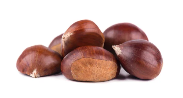 Fresh chestnuts isolated on white background. Hippocastanum isolated. Chestnut with clipping path — Stock Photo, Image