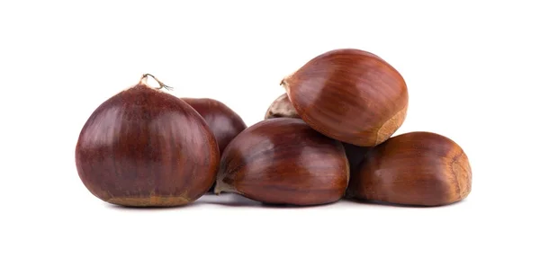 Fresh chestnuts isolated on white background. Hippocastanum isolated. Chestnut with clipping path — Stock Photo, Image