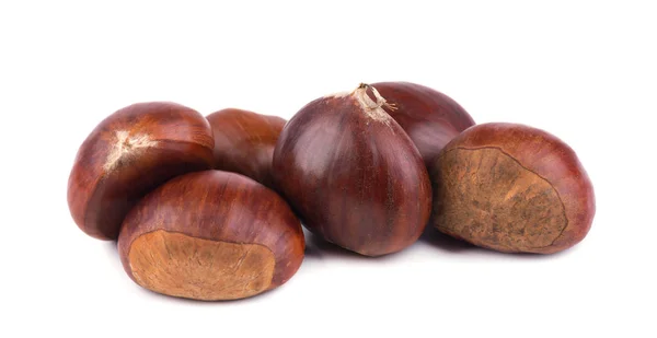 Fresh chestnuts isolated on white background. Hippocastanum isolated. Chestnut with clipping path — Stock Photo, Image