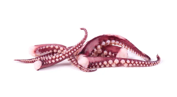 Tentáculos de calamar aislados sobre fondo blanco — Foto de Stock
