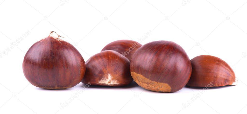 Fresh chestnuts with peeled roasted chestnut isolated on white background. Hippocastanum isolated. Isolated chestnut set