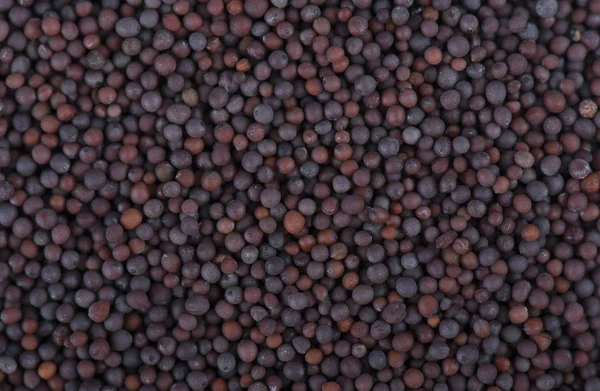 Fundo de sementes de mostarda preta. Close-up de sementes de mostarda — Fotografia de Stock