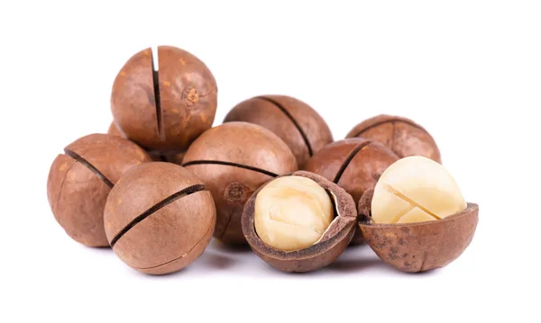 Macadamianötter med blad, isolerad på vit bakgrund. Skalade och oskalade macadamia. — Stockfoto