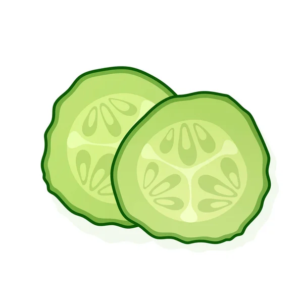 Cucumber slice isolated on white background. Two green round piece of cucumber. Vector Illustration. — Stock Vector