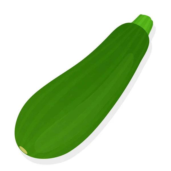 Zucchini Isolated White Background Ripe Zucchini Vector Illustration — Stock Vector