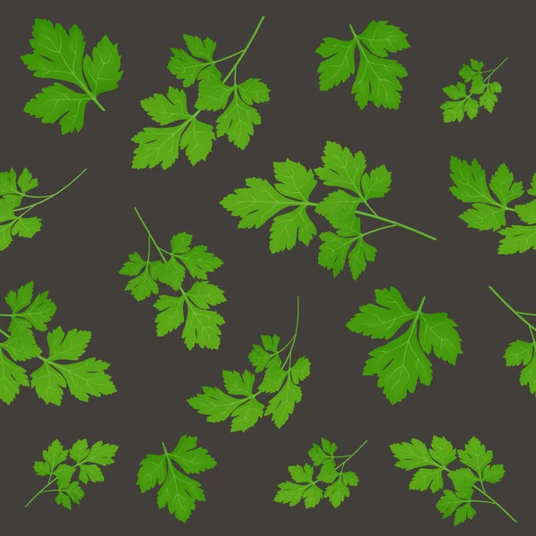 新鲜的绿色欧芹叶子在深色的背景上 Parsley被隔离了矢量图解 无缝图案 — 图库矢量图片