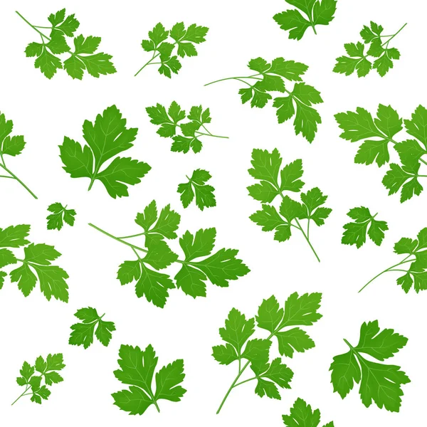 Feuilles Persil Vert Frais Sur Fond Blanc Persil Isolé Illustration — Image vectorielle