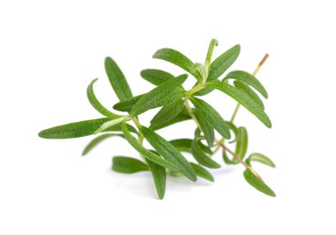 Beyaz arka planda izole edilmiş taze biberiye karışımı. Taze kokulu yeşil biberiye.