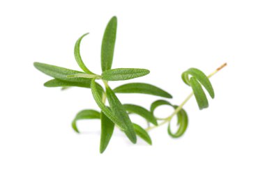 Beyaz arka planda izole edilmiş taze biberiye karışımı. Taze kokulu yeşil biberiye