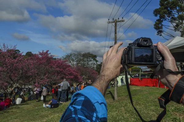 eller Calcasian adam Japon olay içinde şehir, bu yüzden Roque çok Paulo Brezilya fotoğraf çekimi