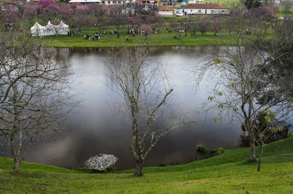 Brezilya'da So Paulo So Roque kentinde güneşli bir günde gölde su aynası