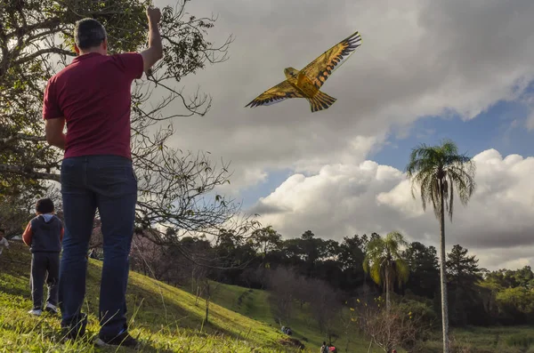 Baba ve oğul bırakarak Brezilya'da çok Paulo şehrinin dağlarda papağan