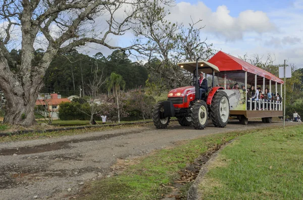 Turistik tren, göle kadar Paulo Brezilya aracılığıyla gezinme