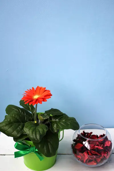 Çiçek ve vazo Gül yaprakları ile