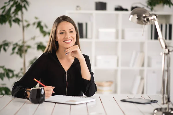 Empresária atraente no escritório moderno — Fotografia de Stock