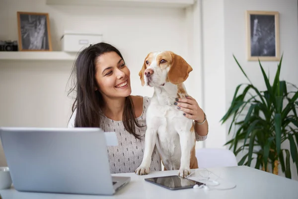 Beagle köpek olan güzel kadın