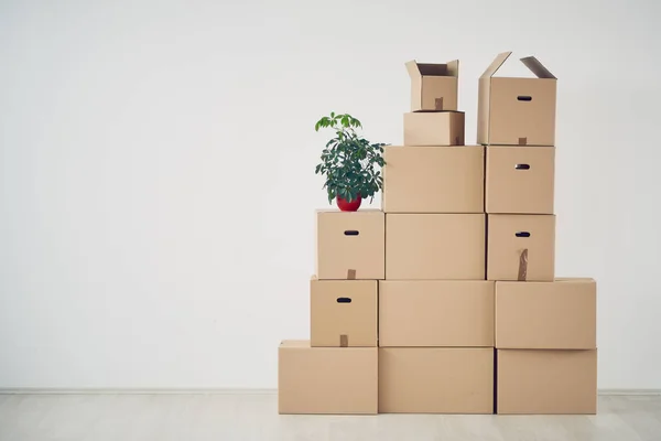 Много коробок с вещами — стоковое фото