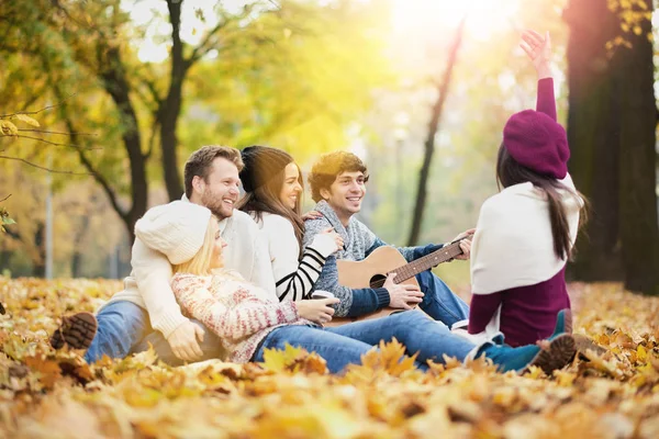 bir grup genç insan 