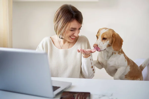 Young beautiful woman with dog at home