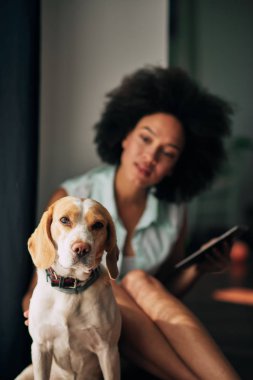 Köpeğini içeteklik ve yerde otururken tablet kullanarak karma yarış kadın.
