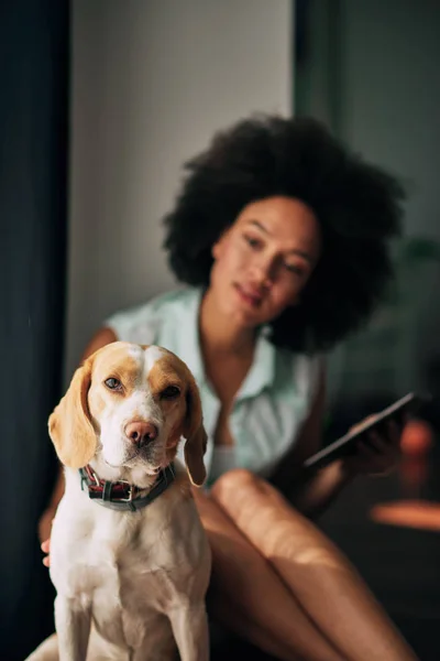 混血の女性彼女の犬をかわいがることおよびタブレットを使用して床に座って — ストック写真