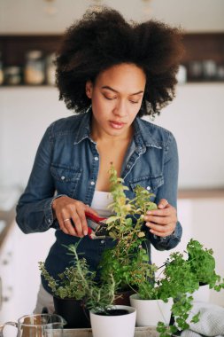 Bahçe güzel karışık ırk kadın.
