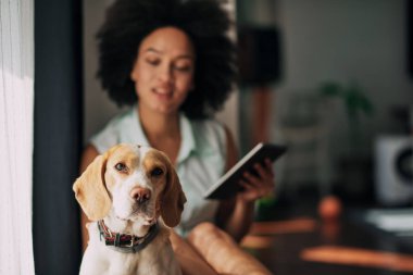 Köpeğini içeteklik ve yerde otururken tablet kullanarak karma yarış kadın.
