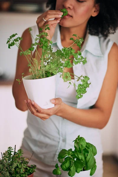 Beautiful Mixed Race Woman Gardening — Stock Photo, Image