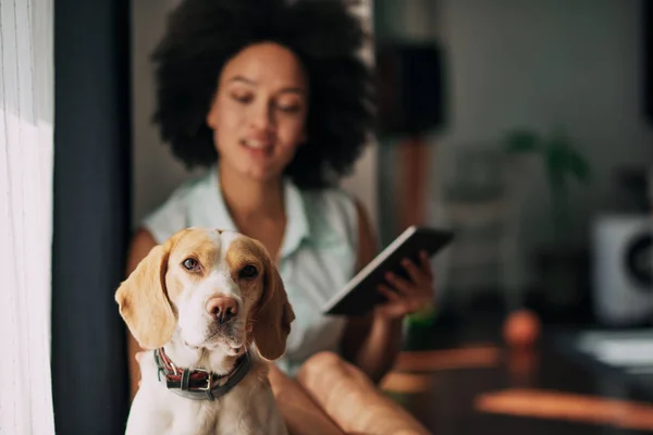 Mixte Femme Race Caressant Son Chien Utilisant Une Tablette Tout — Photo