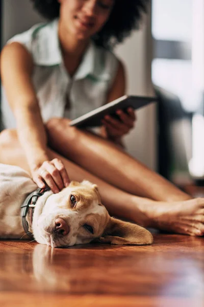 Mulher Raça Mista Acariciando Seu Cão Usando Tablet Enquanto Sentado — Fotografia de Stock