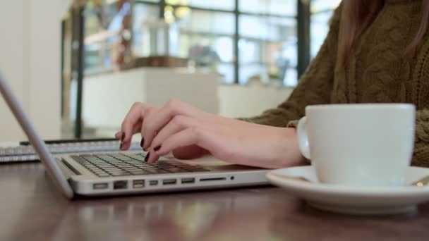 Primer Plano Mujer Escribiendo Ordenador Portátil Mientras Está Sentado Cafetería — Vídeo de stock