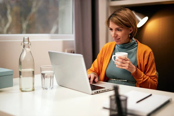 Gülümseyen, çalışkan, Kafkasyalı hamile iş kadını ofiste oturuyor, dizüstü bilgisayar kullanıyor ve çay içiyor.. — Stok fotoğraf