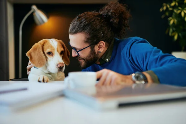 Close-up van knappe Kaukasische bebaarde glimlachende freelancer zitten in zijn moderne kantoor en spelen met zijn hond. — Stockfoto