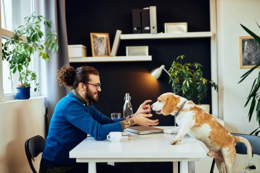 Neşeli gülümseyen yakışıklı beyaz adam ofisinde oturuyor ve köpeğiyle oynuyor..