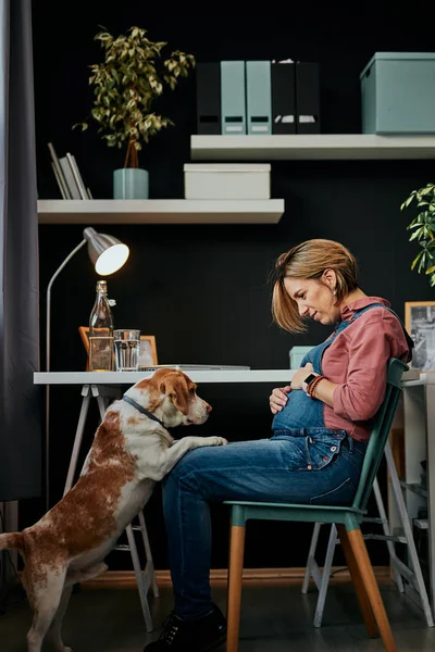 Linda mujer embarazada caucásica de cuarenta años sentada en la oficina en casa y jugando con su amado perro . — Foto de Stock