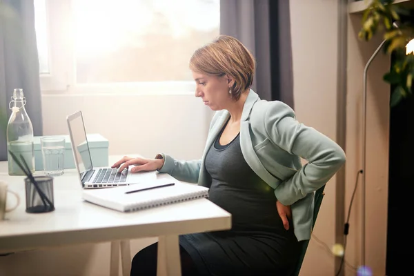 Χαριτωμένη καυκάσια έγκυος επιχειρηματίας κάθεται στην καρέκλα στο γραφείο, κρατώντας πίσω και χρησιμοποιώντας φορητό υπολογιστή. — Φωτογραφία Αρχείου