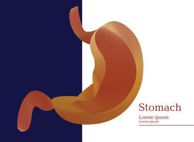 Mavi ve beyaz arka plan üzerinde insan anatomik stomack soyut gösteren resim