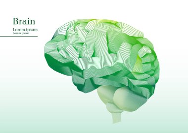 Anatomik insan beyninin soyut yeşil şekil