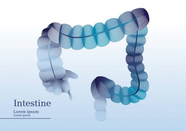 Abstract illustration of intestine clipart